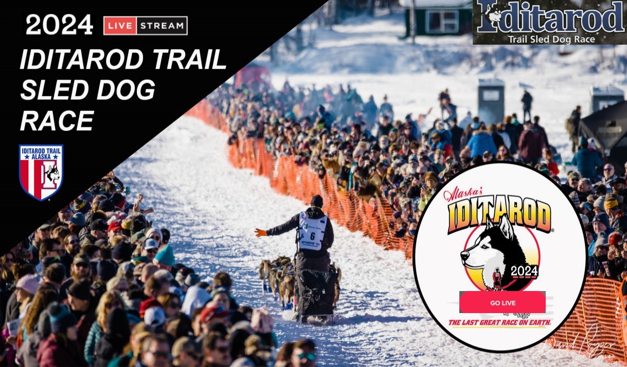 Iditarod Trail Sled Dog Race 2024 Live Stream